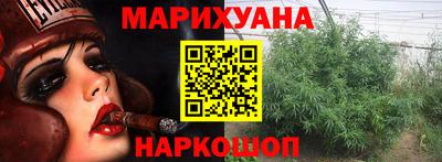 гидра Камышлов