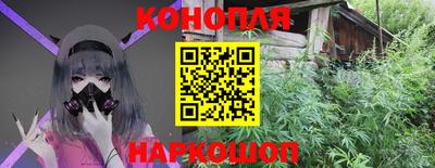 гидра Камышлов