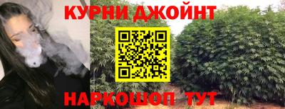 гидра Камышлов