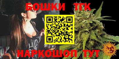 гидра Камышлов