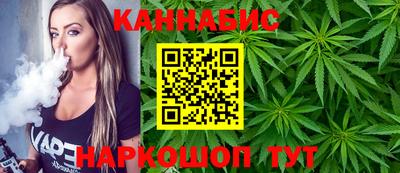 гидра Камышлов